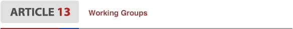 Article13 Working Groups
