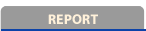 Report